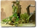 Aquascaping mit Swantje Thalmann
