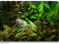 Impressionen Heimtiermesse 2012