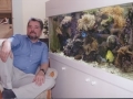 Frank Korjakin - Mein Aquarium