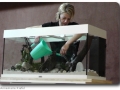 Aquascaping mit Swantje Thalmann