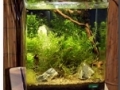 Impressionen Heimtiermesse 2012