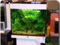 Impressionen Heimtiermesse 2012