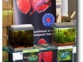 Messestand AK Labyrinthfische