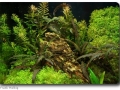 Impressionen Heimtiermesse 2012