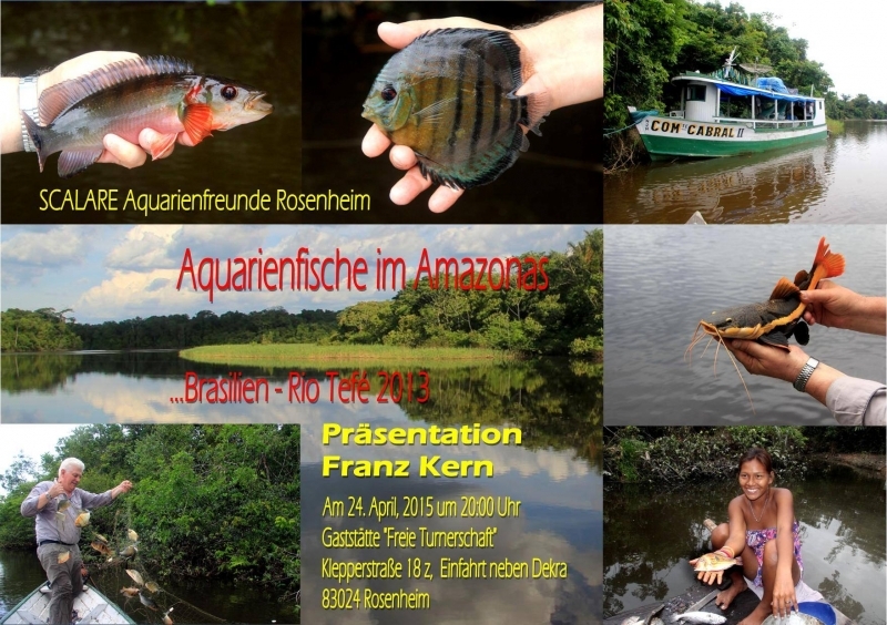Aquarienfische im Amazonas - Franz Kern