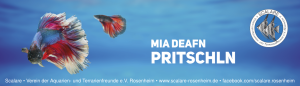 Mia deafn pritschln - Scalare e.V. Rosenheim