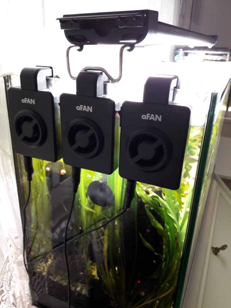 Seitenansicht Aquarium mit drei angehängten aFan-Kühler