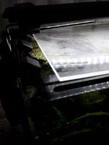 Abdeckscheibe vom Aquarium