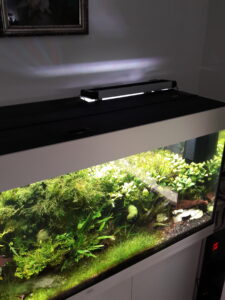 Aquarium mit Kühler Rio auf der Abdeckung