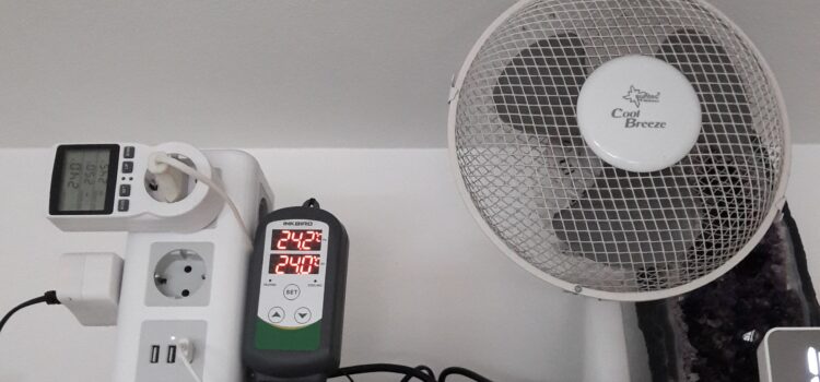 Heizen und Kühlen Tischventilator im Regal, links Mehrfachsteckdose mit Temperatur-Regelung