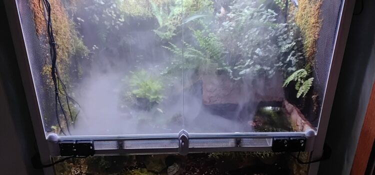 Regenwald-Paludarium Gesamtes Paludarium mit Nebelschwaden