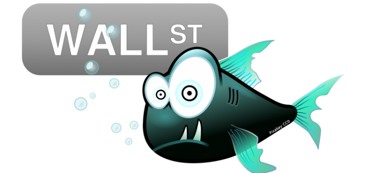 Saison-Start Aquaristik-Börse