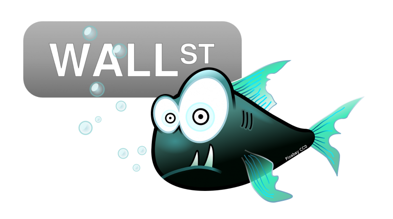 Aquaristik-Börse Februar 2023