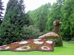 Vereinsausflug Insel Mainau