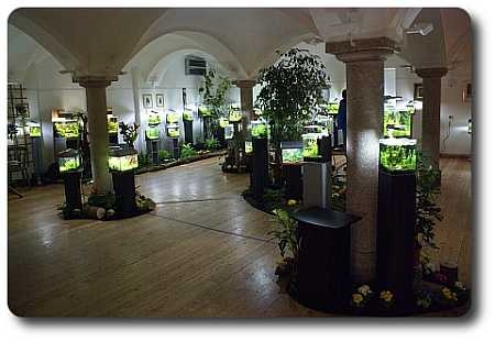 Nano-Aquaristik-Ausstellung Dachau